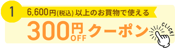 300円割引クーポン