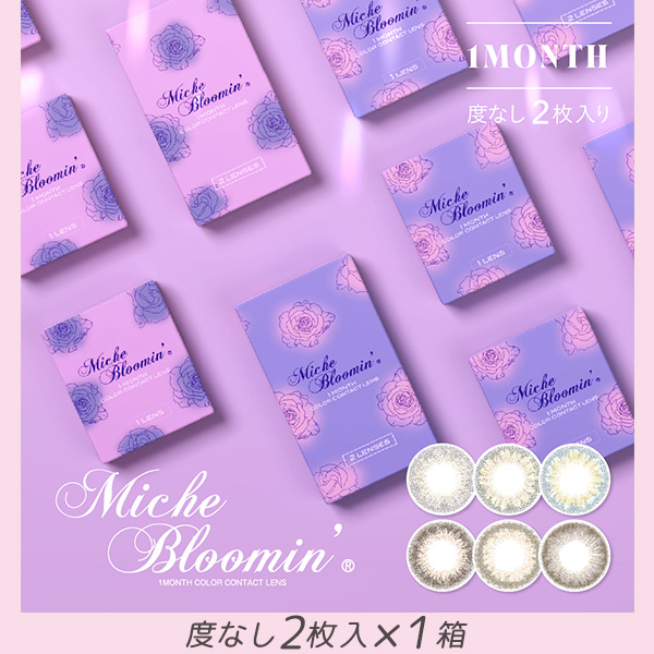 ミッシュブルーミン(MicheBloomin')マンスリー [度なし 2枚入 1箱]